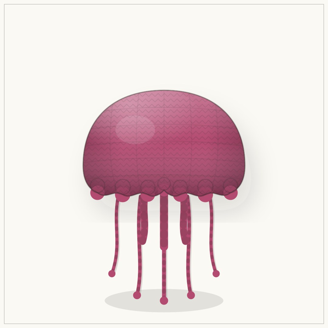 The Jellyfish, view 1