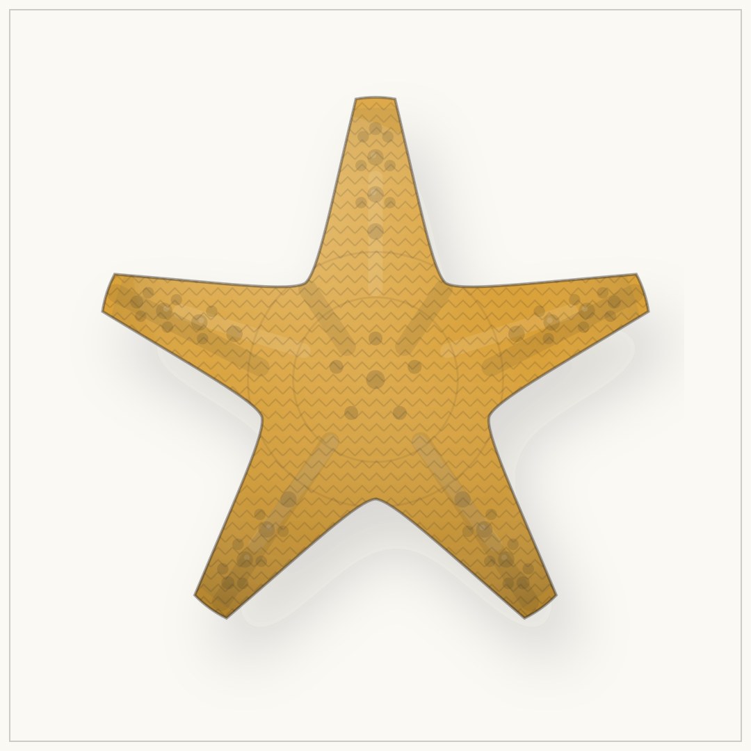 The Starfish, view 1