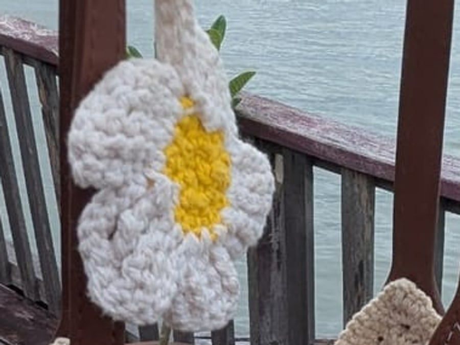 The daisy, photographed close in the atelier