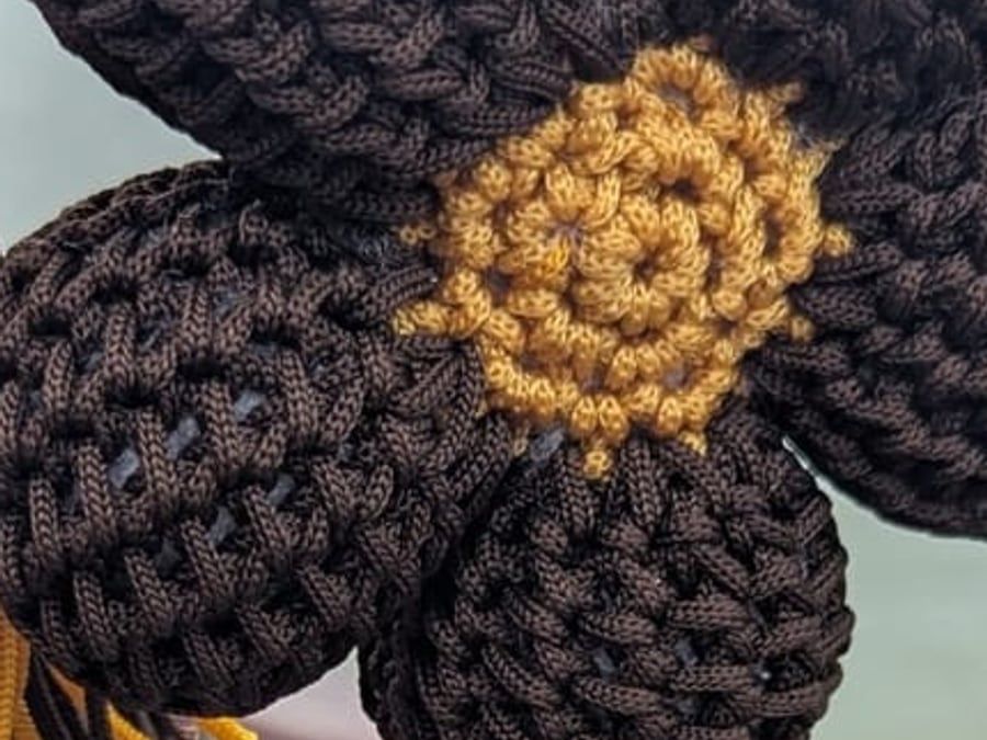 The frangipani, photographed close in the atelier